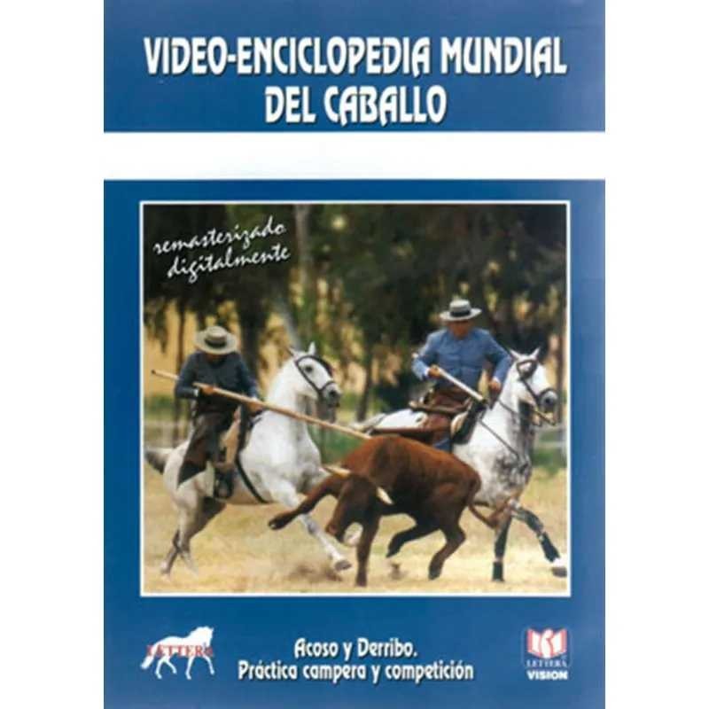 DVD: ACOSO Y DERRIBO 2