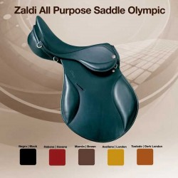 SILLA ZALDI USO GENERAL OLYMPIC DELUXE