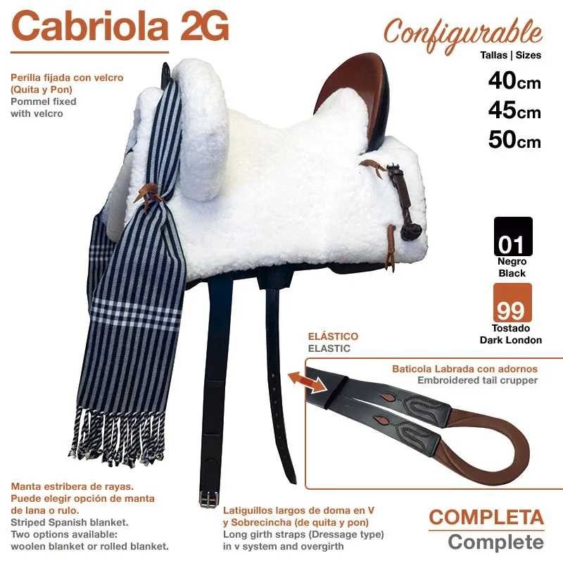 SILLA ZALDI C. CABRIOLA 2G (COMPLETA)