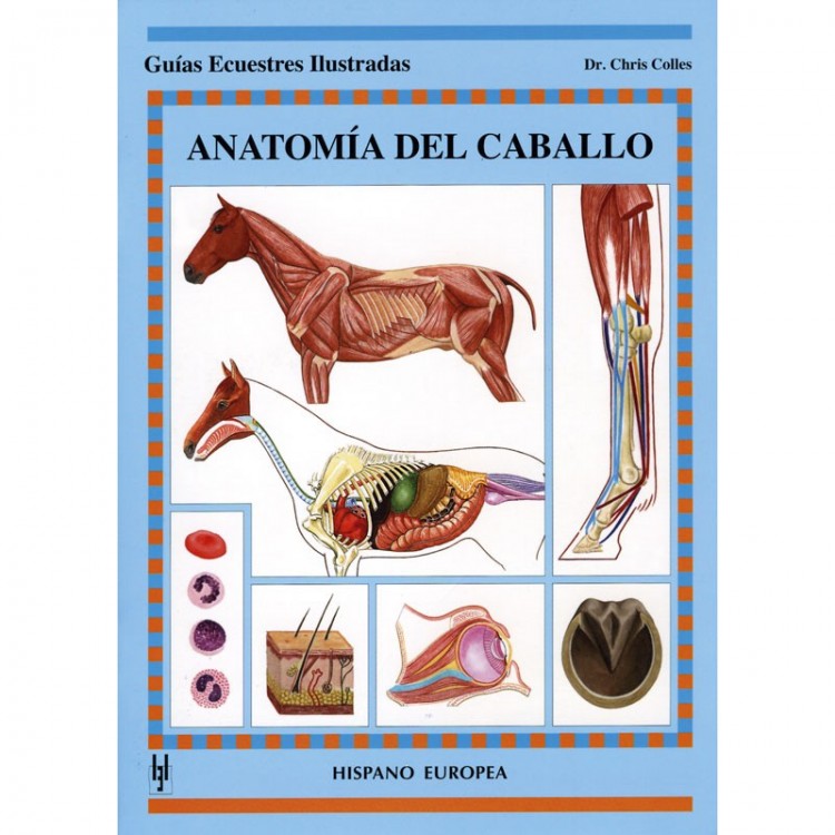 LIBRO: GUIA. ANATOMIA DEL CABALLO, 