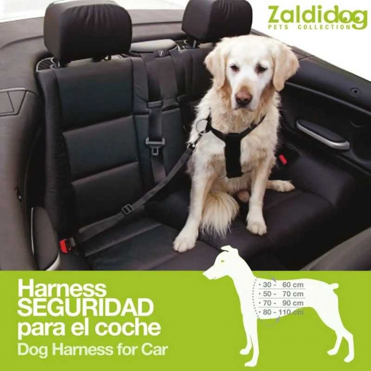 PERRO HARNESS SEGURIDAD PARA COCHE 