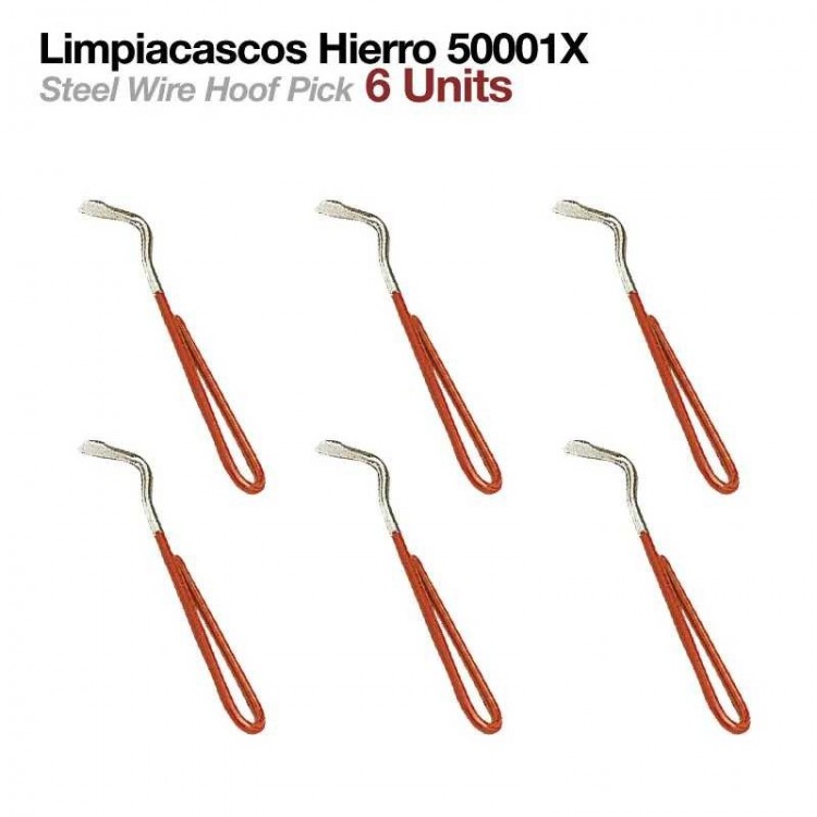 LIMPIACASCOS HIERRO 50001X  6uds