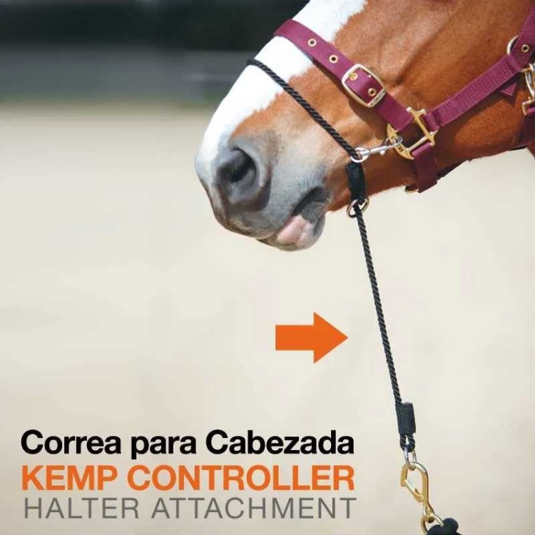 CORREA PARA CABEZADA "KEMP CONTROLLER"