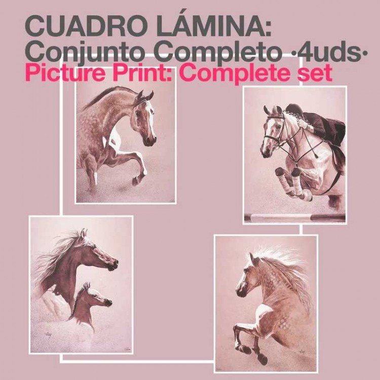 CUADRO LÁMINA: CONJUNTO COMPLETO (4uds)