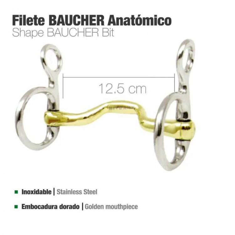 FILETE BAUCHER ANATÓMICO BBI INOX