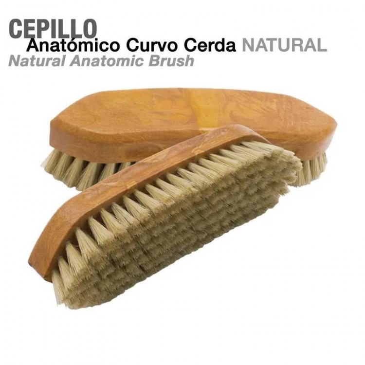 CEPILLO ANATÓMICO CURVO CERDA NATURAL