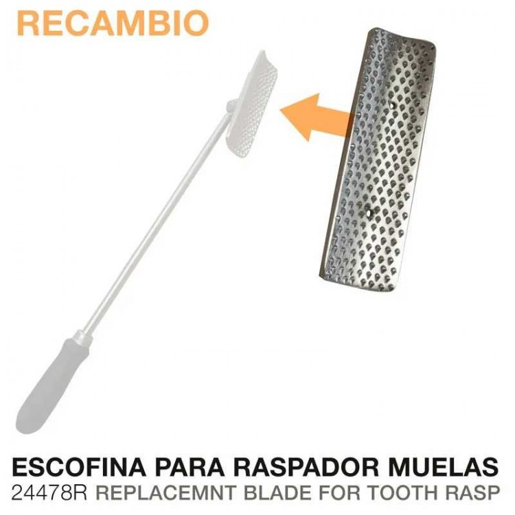 RASPADOR MUELAS ESCOFINA  24478R