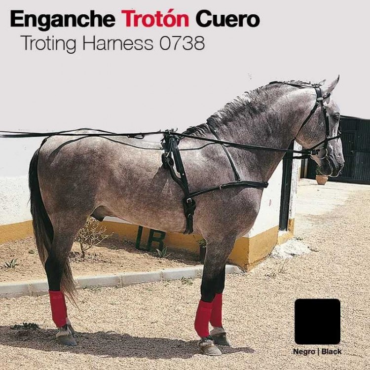 ENGANCHE TROTÓN CUERO NEGRO