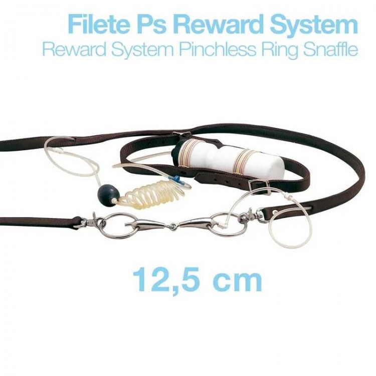 FILETE PS REWARD SYSTEM RW21904N