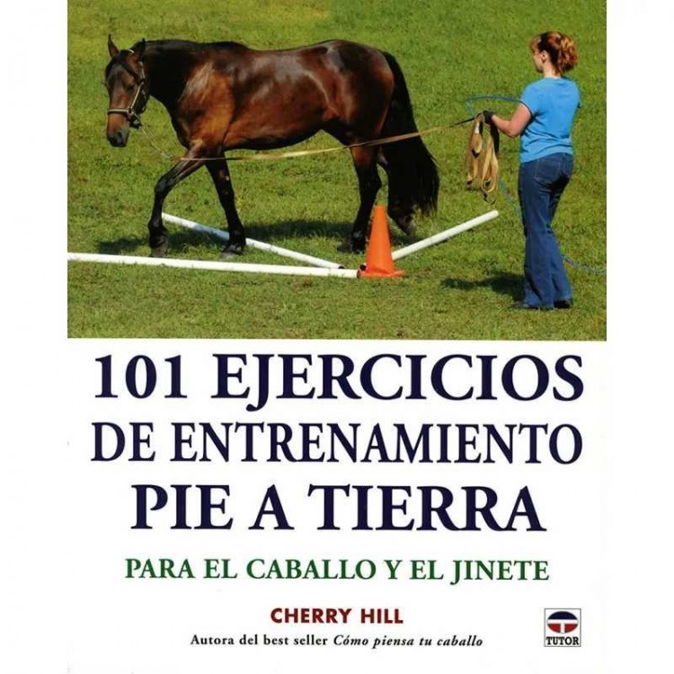 LIBRO: 101 EJERCICIO DE ENTRENAMIENTO PIE A TIERRA