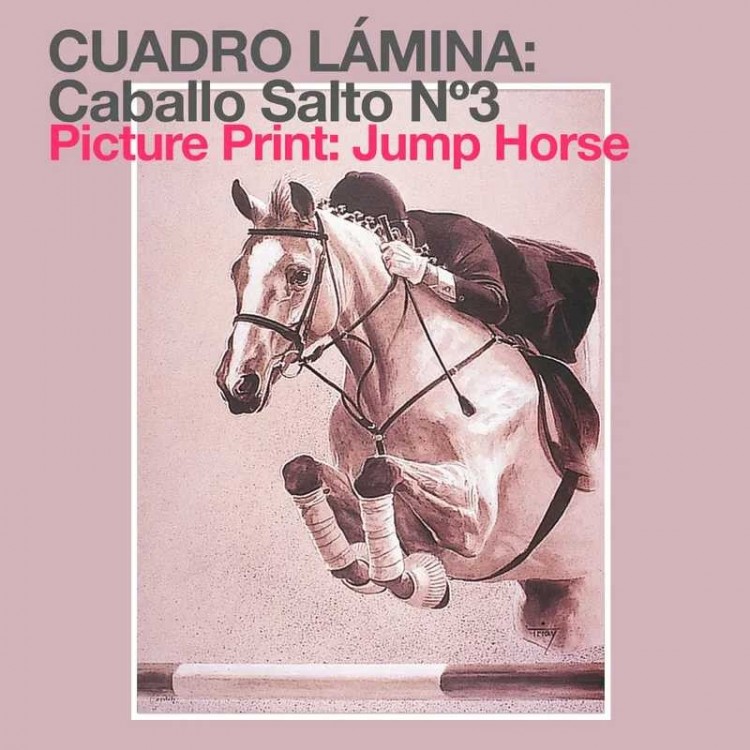 CUADRO LÁMINA: CABALLO SALTO Nº3