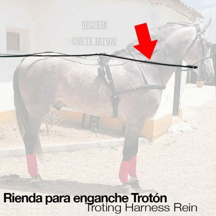 ENGANCHE RIENDA TROTÓN NEGRO