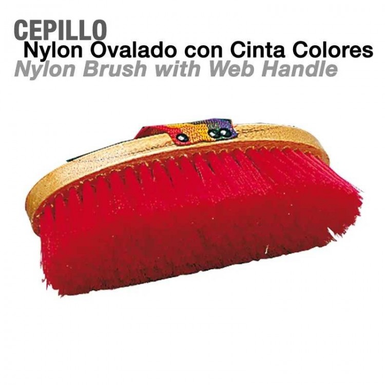 CEPILLO NYLON OVALADO CON CINTA COLORES