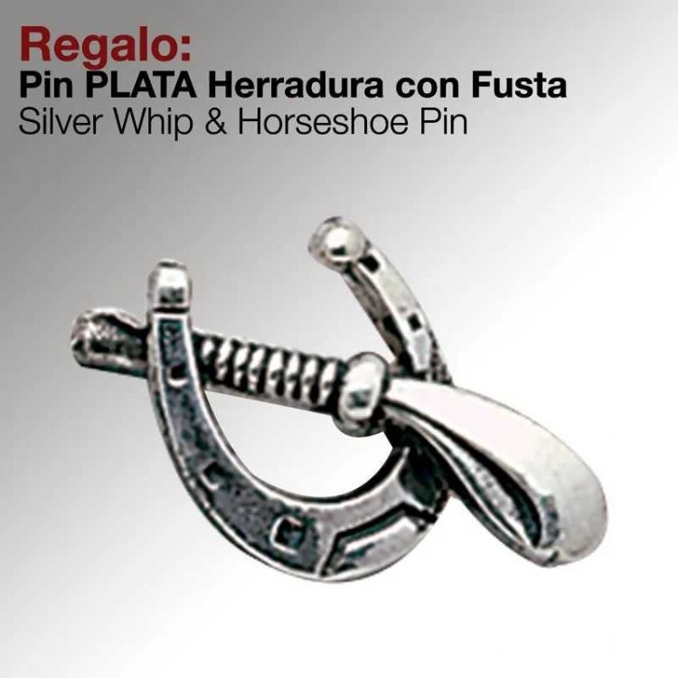 REGALO PIN -PLATA- HERRADURA CON FUSTA 4195