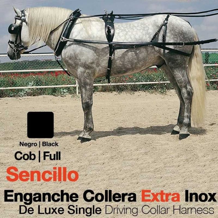 ENGANCHE COLLERA EXTRA INOX SENCILLO NEGRO