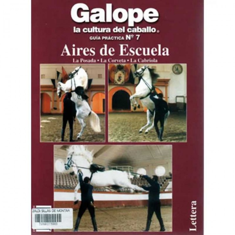 LIBRO: GUÍA DE ESCUELA Nº7