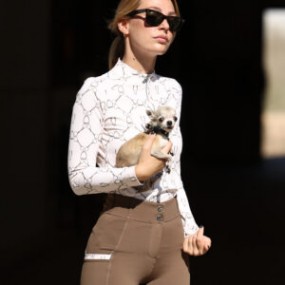 Simply Posh Breeches-Marrón