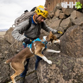 ARNES CON ASA RUFFWEAR PARA PERROS FLAGLINE