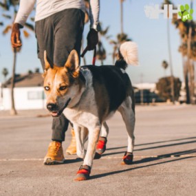 BOTA RUFFWEAR PARA PERROS GRIP TREX (PAR)