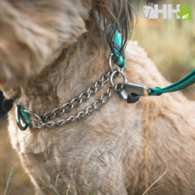 COLLAR MARTINGALA RUFFWEAR PARA PERROS CHAIN REACTION