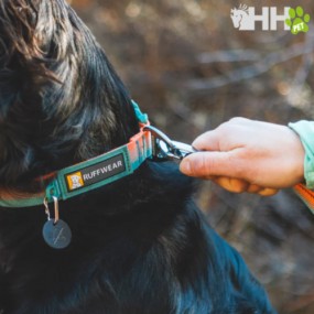 COLLAR RUFFWEAR PARA PERROS FRONT RANGE