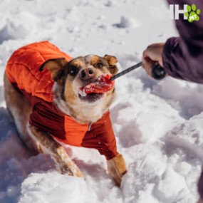 JUGUETE PARA LANZAR RUFFWEAR PARA PERROS HUCK-A-CONE