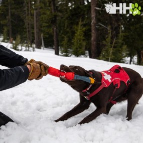 JUGUETE RUFFWEAR PARA PERROS PACIFIC LOOP