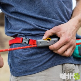 Hitch Hiker Leash