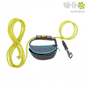 Hitch Hiker Leash