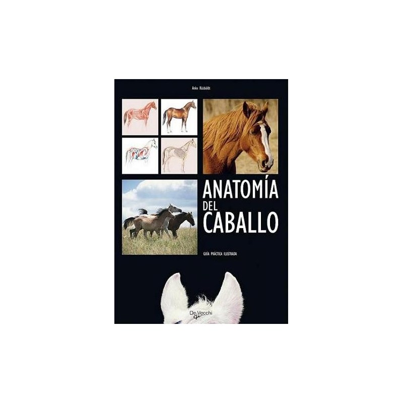 LIBRO ANATOMÍA DEL CABALLO