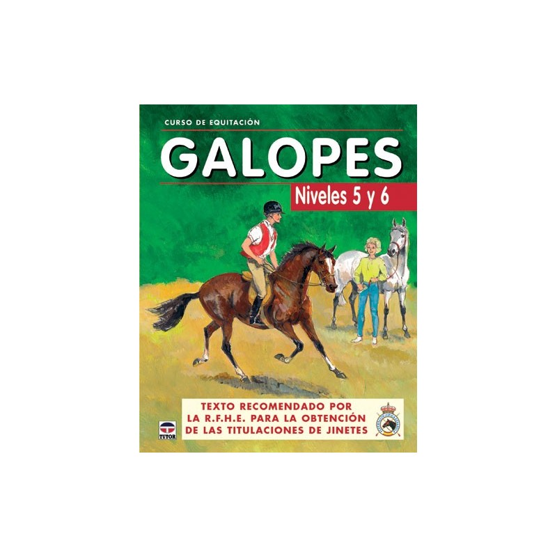 LIBRO GALOPES NIVELES 5 Y 6