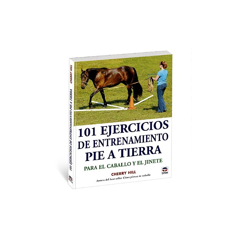 LIBRO 101 EJERCICIOS DE ENTRENAMIENTO PIE A TIERRA