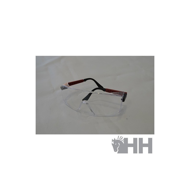 GAFAS PROTECCION HERRADOR REF.LUNETTEMASQUE