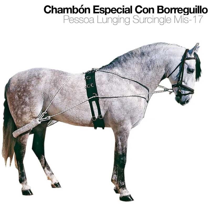 CHAMBÓN ESPECIAL CON BORREGUILLO MIS-17